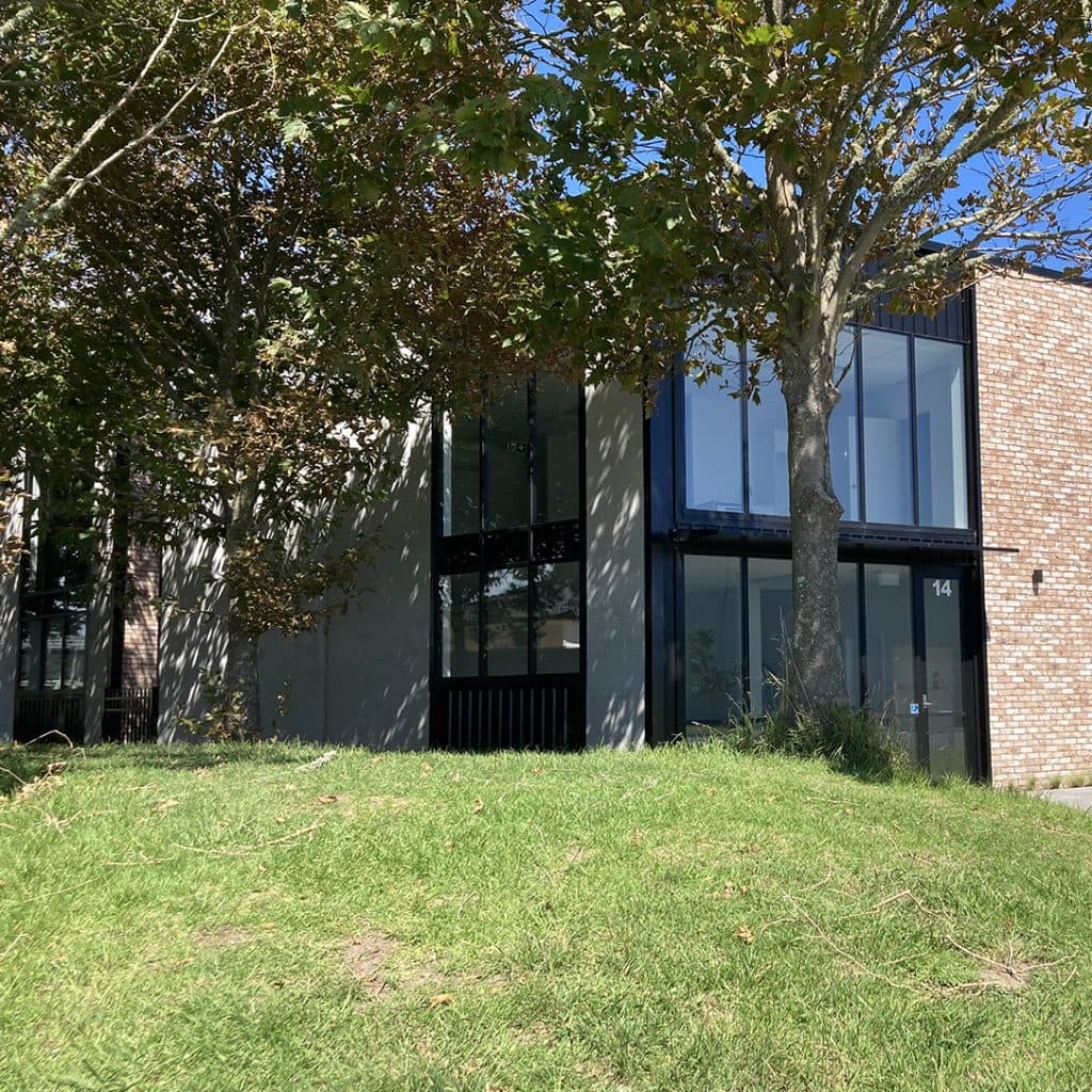 gallery image 8